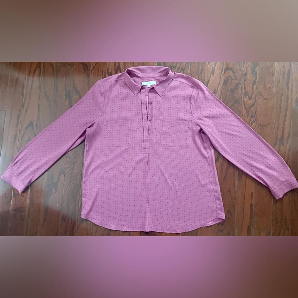 Ann Taylor pink with polka dots blouse
